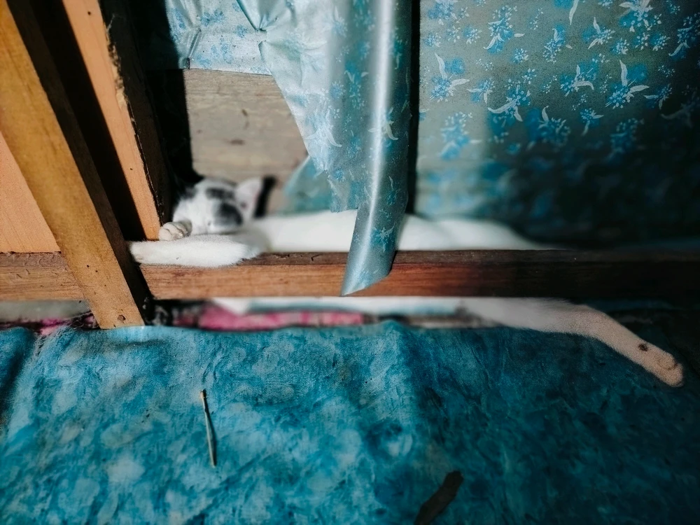 Image uploaded by Suri