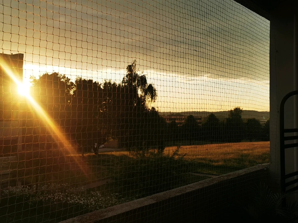 Billede uploadet af Selina