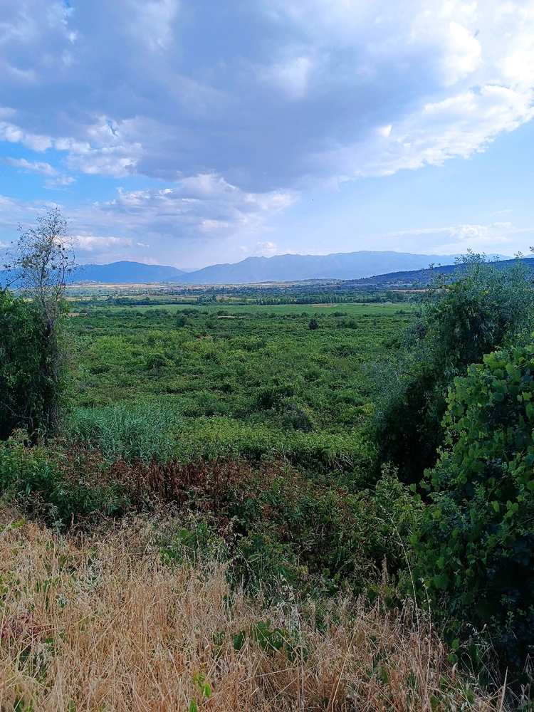 Image uploaded by Neon Rain