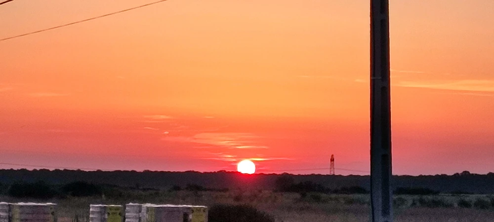 Imagine încărcată de Gabriel