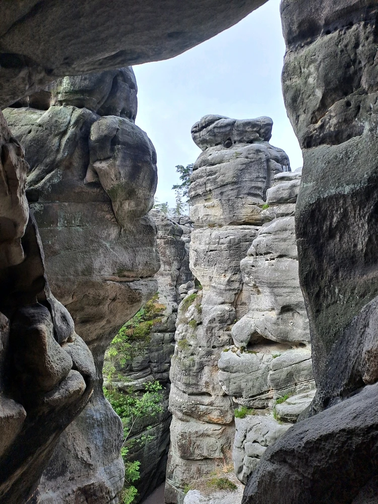 Obrázek nahrál Ivo