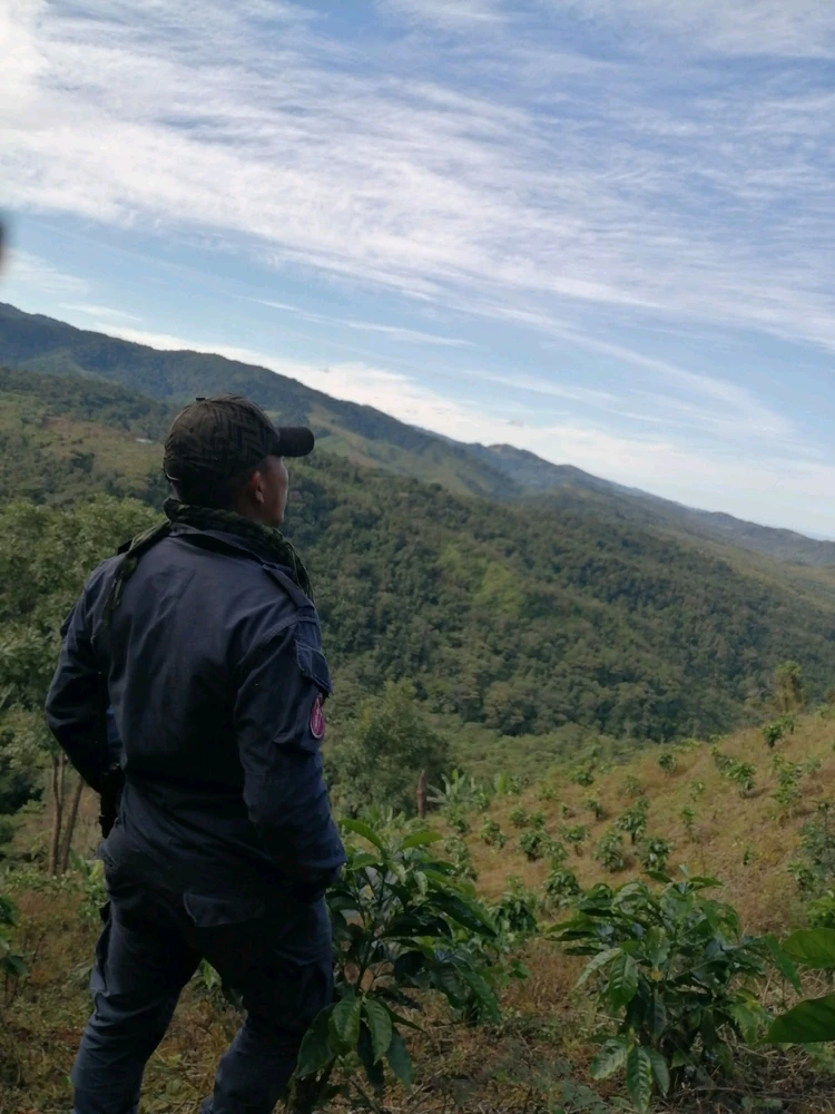 Imagen subida por Mario Andres