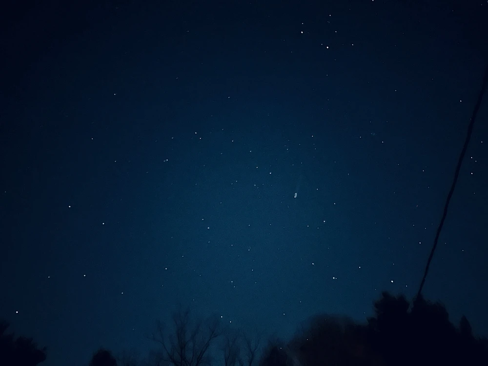 Image uploaded by Ash