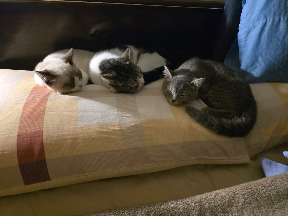 I-upload ni Aitor ang larawan