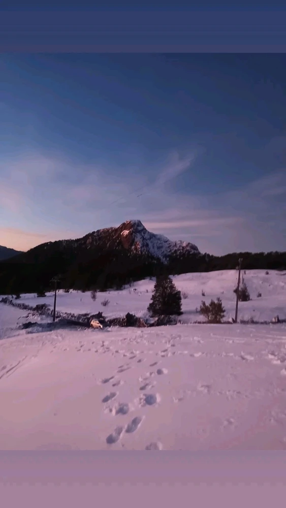 Imagen subida por Jocy