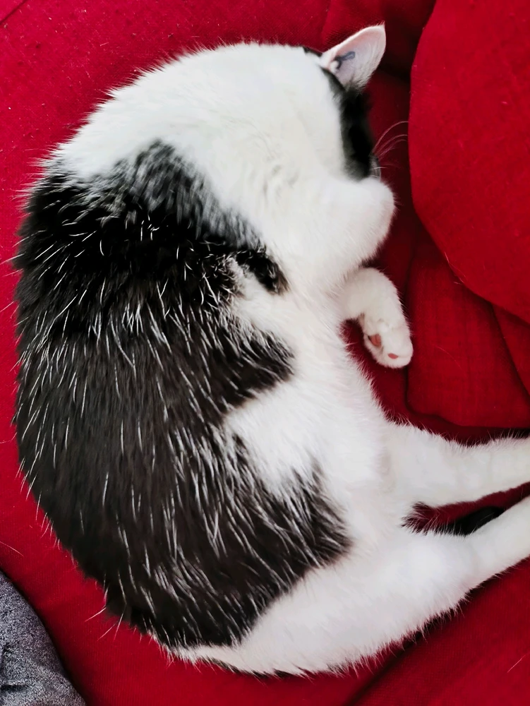 Image ajoutée par Rémy