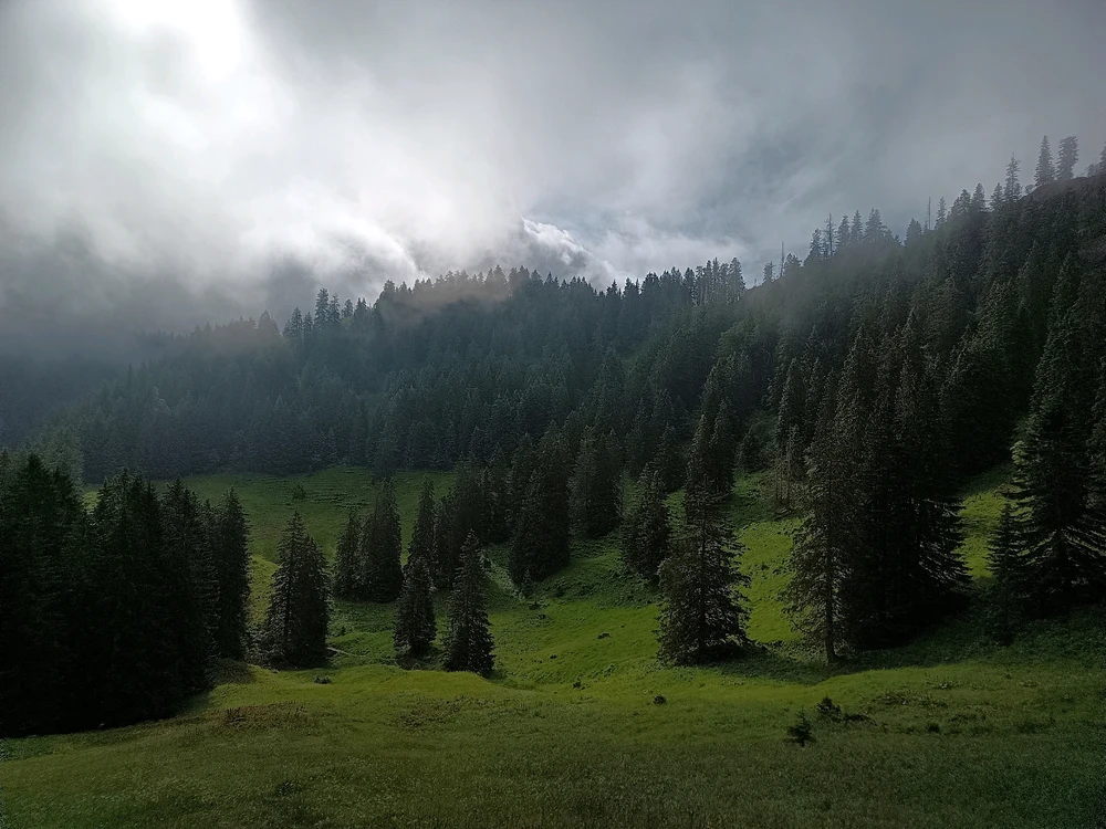 Bild hochgeladen von Martin