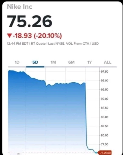 由Bartosz上传的图片