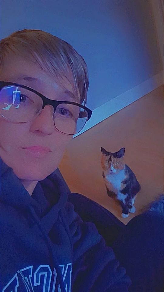 Kitty life