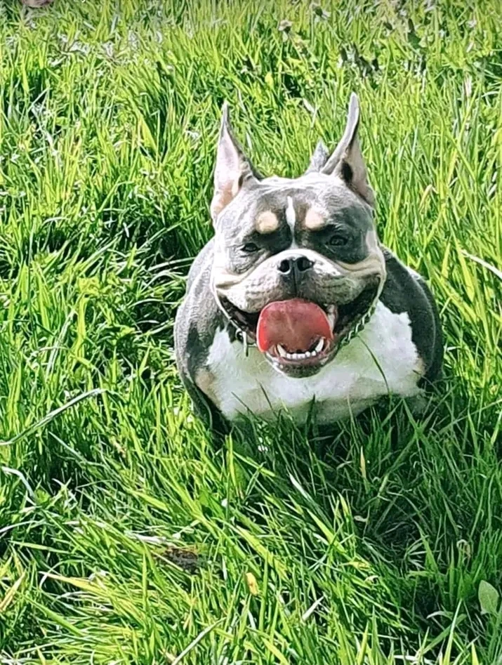 Image ajoutée par Jvlivs