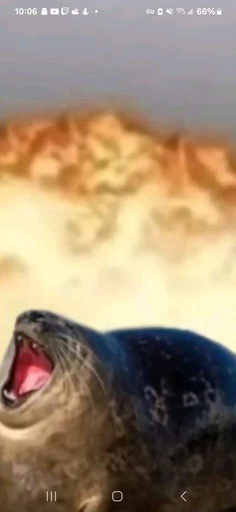 Image uploaded by Jesse Brown