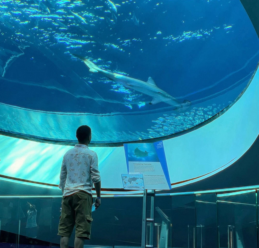 Imagen subida por Eric