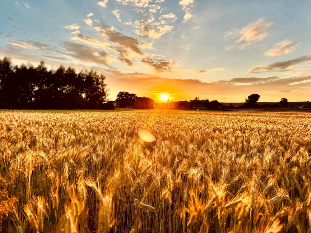 Fotku nahral/-a Tomáš