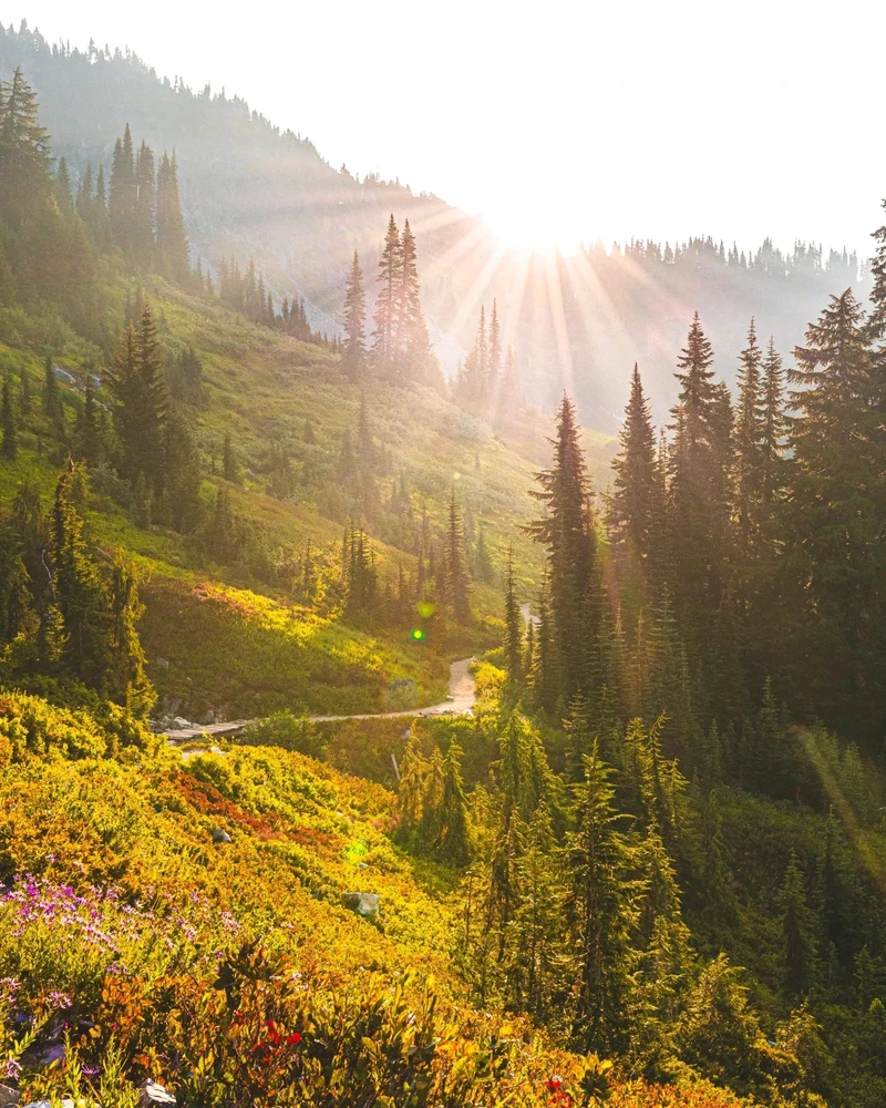 Image uploaded by Ronak