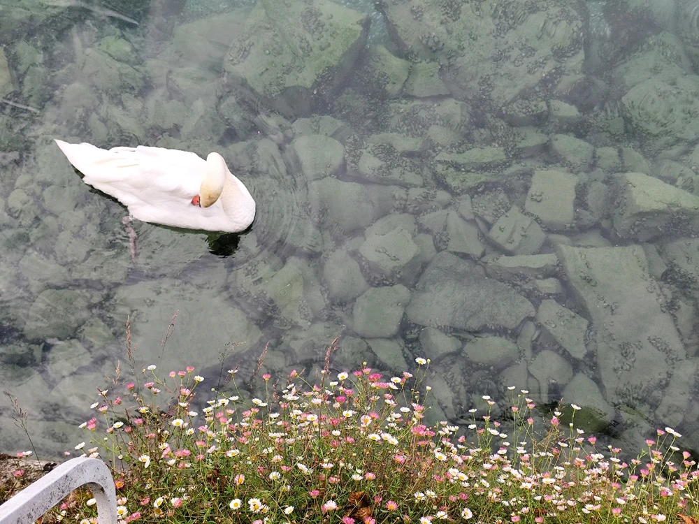 Gambar diunggah dening Helly