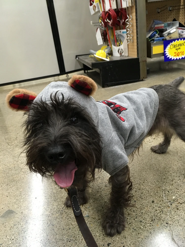 Image uploaded by Gabriel