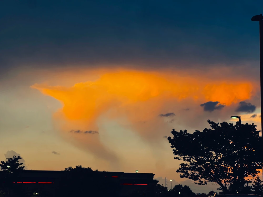 Samuel上傳的圖片