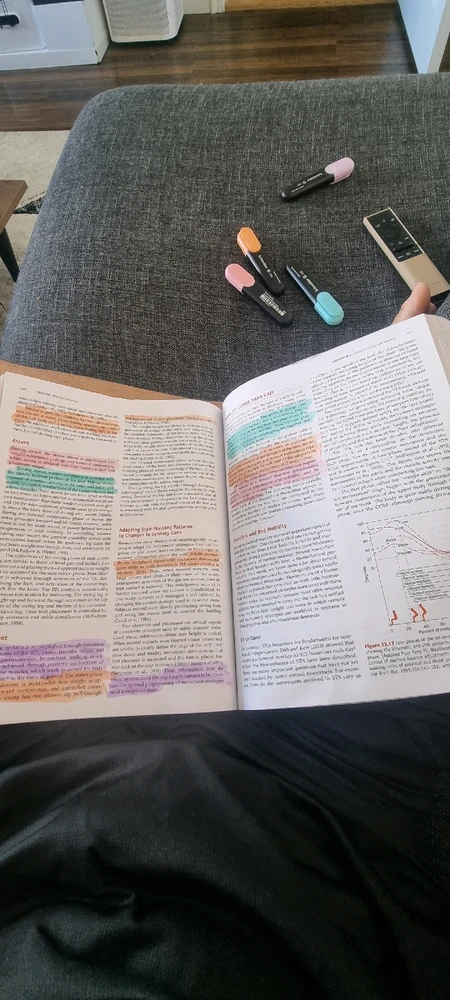 Bild uppladdad av Arin ali