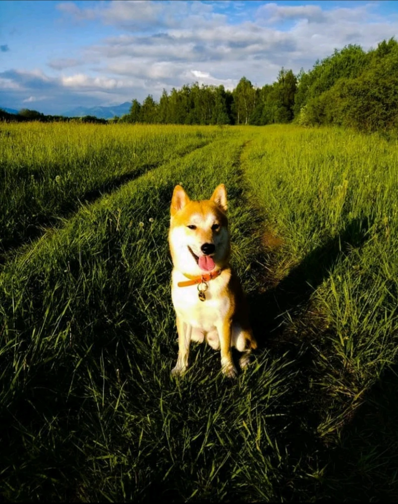 Fotku nahral/-a Branislav