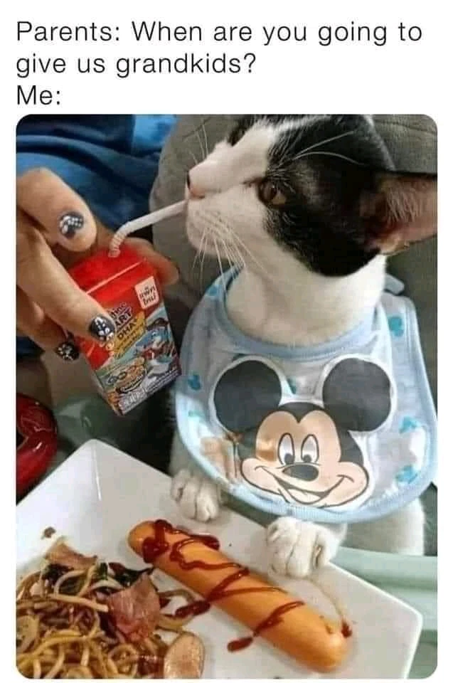 Imagine încărcată de mihai