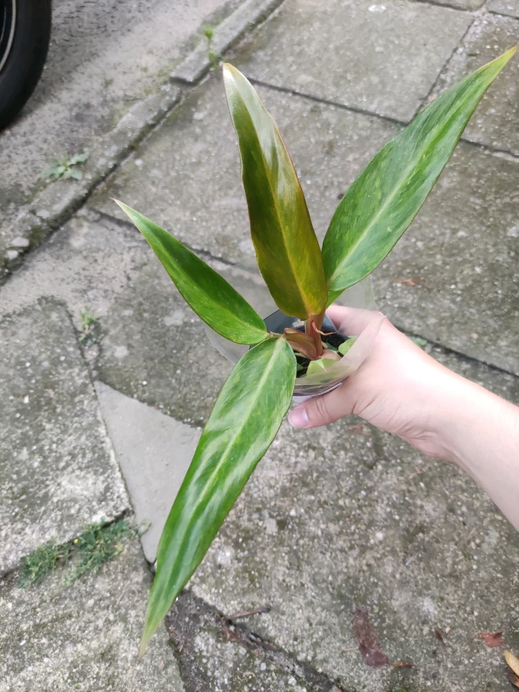 Zdjęcie dodane przez Krzysztof