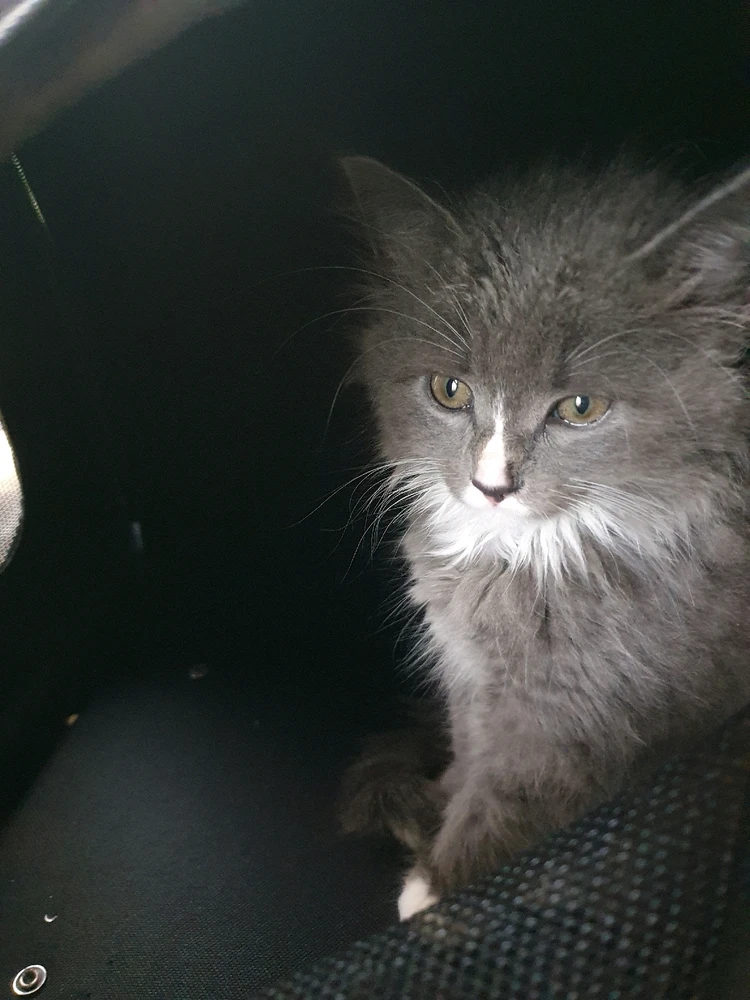 My little devil with an angel's face 
