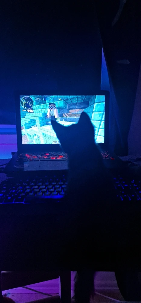 Bild uppladdad av Nova