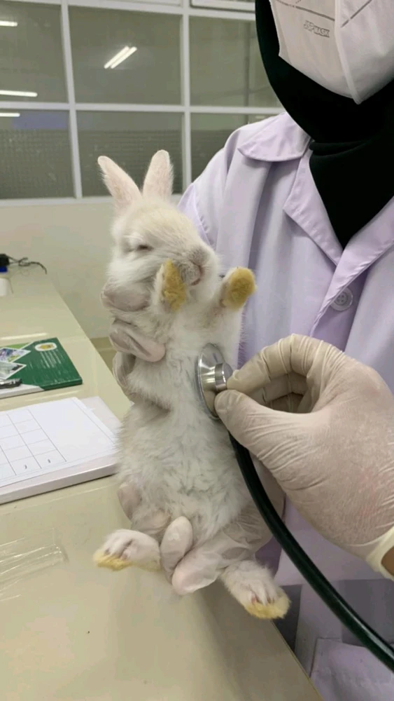 Gambar diunggah oleh Anindya