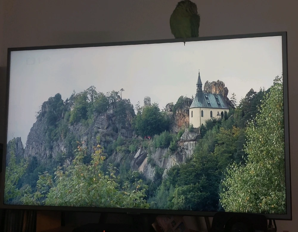 Obrázek nahrál Táňa