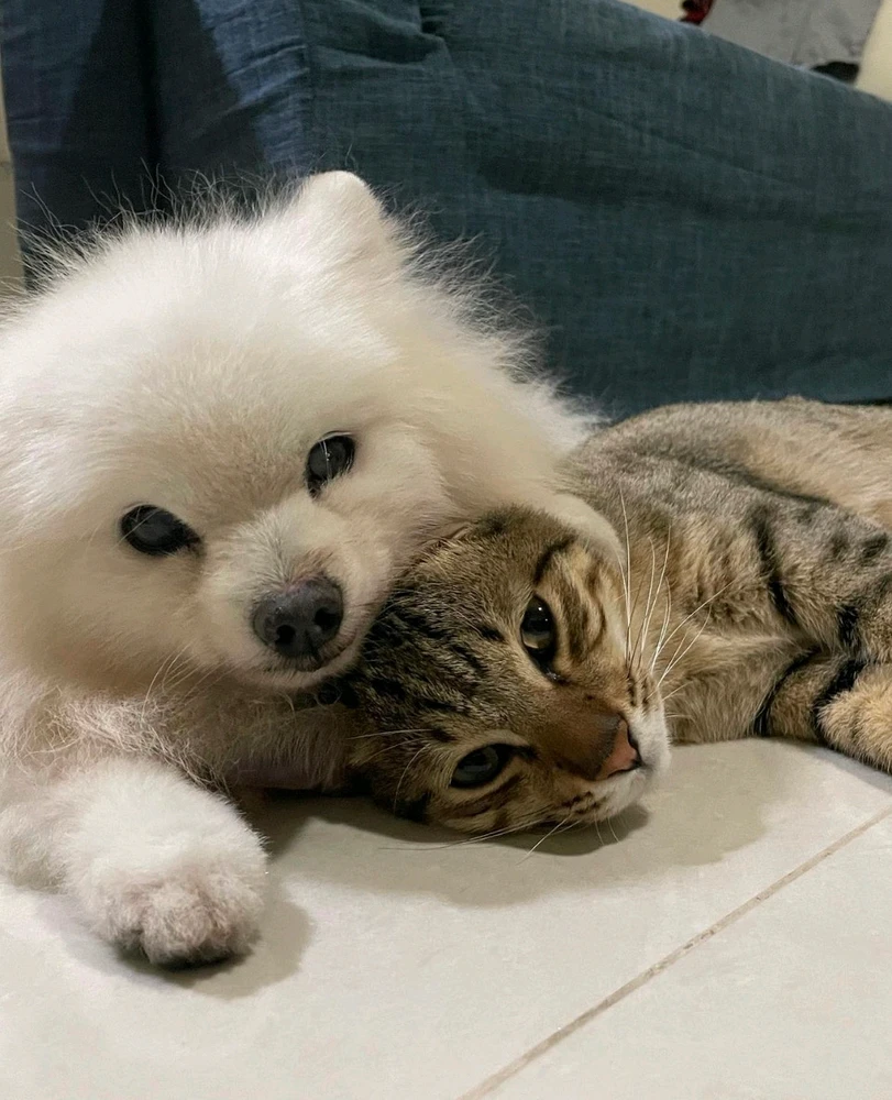 Image uploaded by Fen