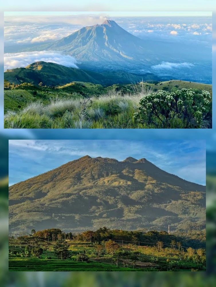 Merbabu atau Lawu?