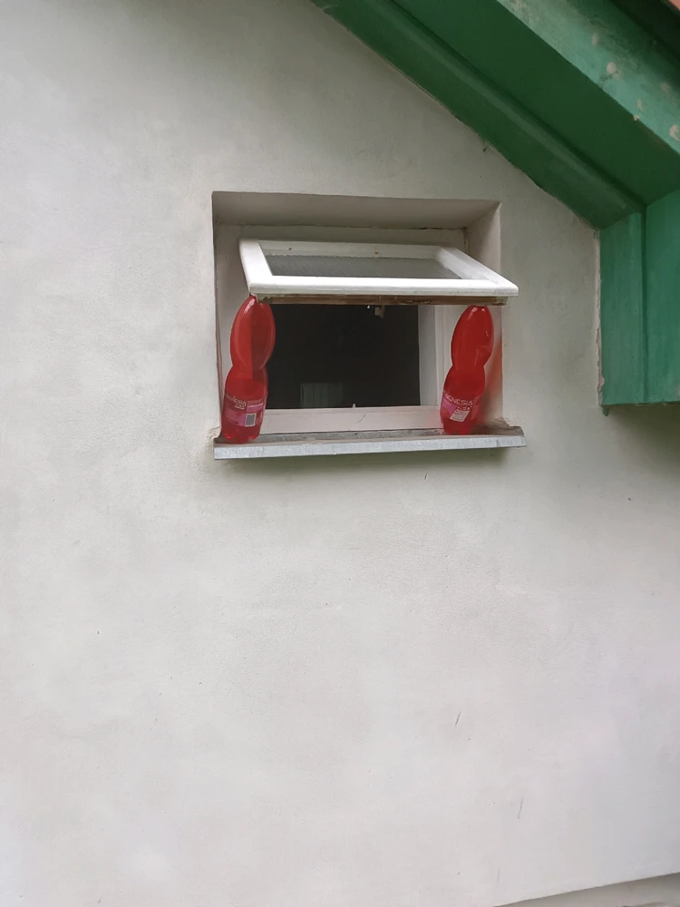 Obrázek nahrál Tomáš (Chlupčis)