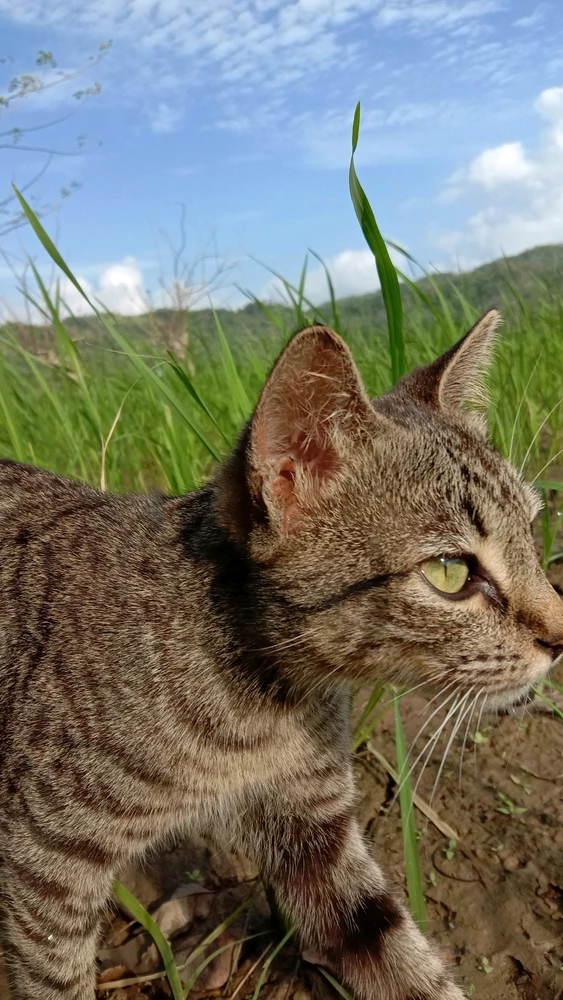 Image uploaded by Leo