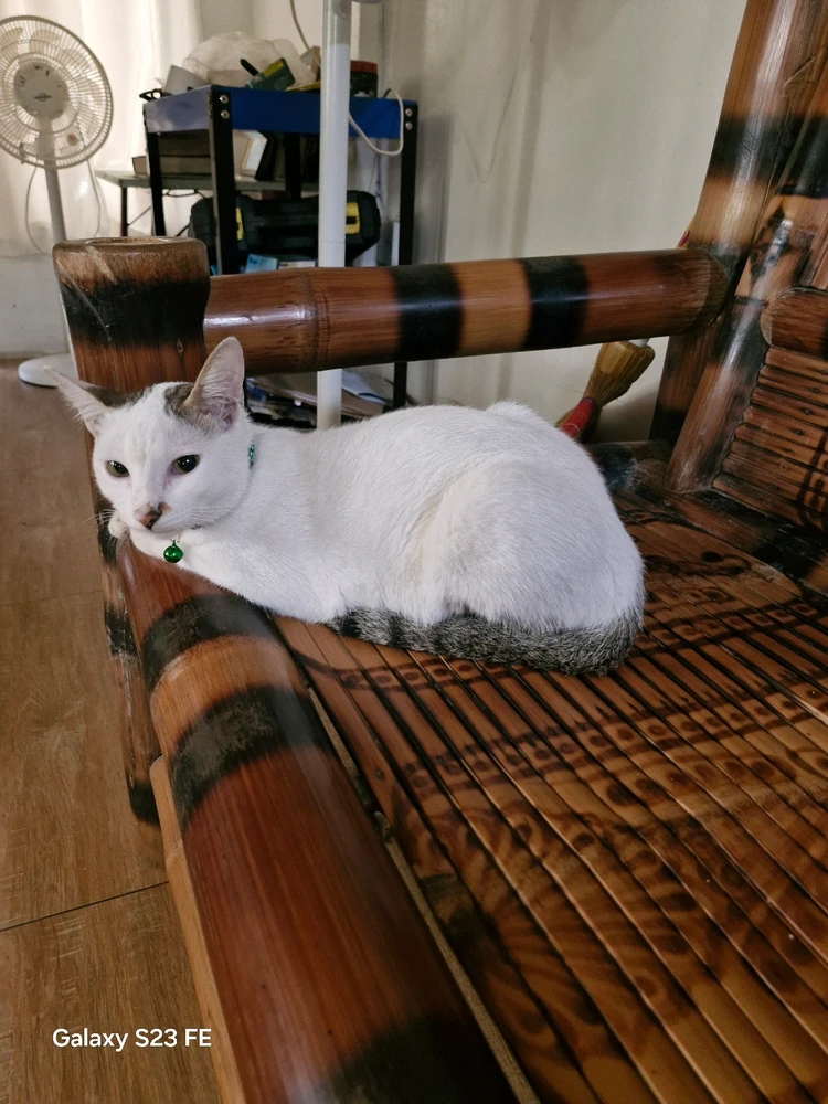 Zdjęcie dodane przez Liza