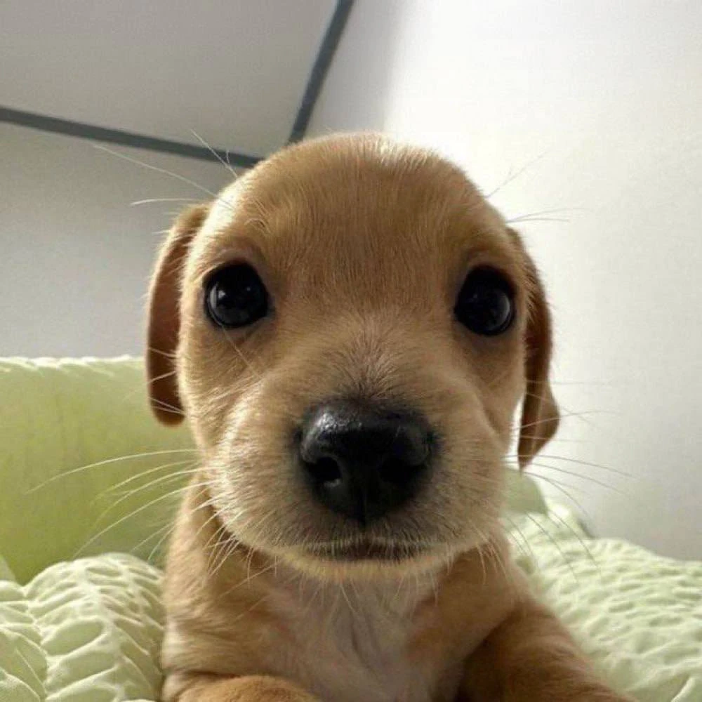 Image uploaded by William M