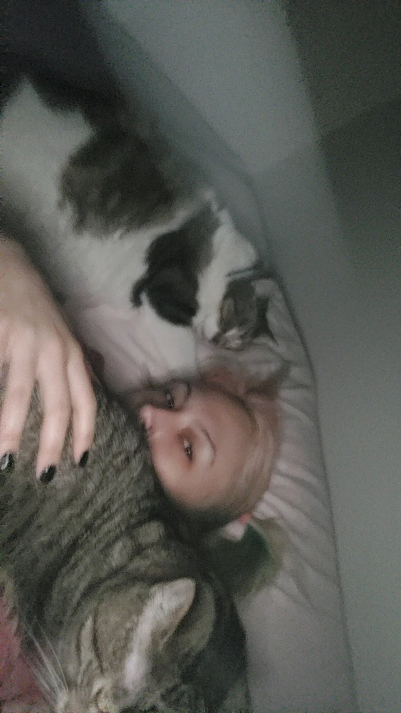 Image uploaded by Shy