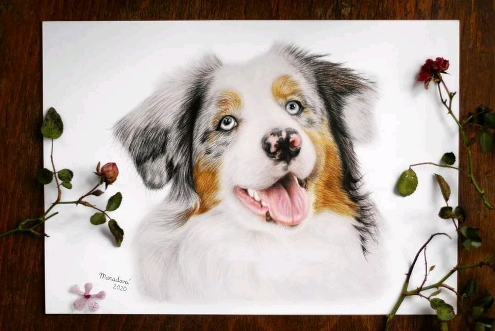 Obrázek nahrál Erika