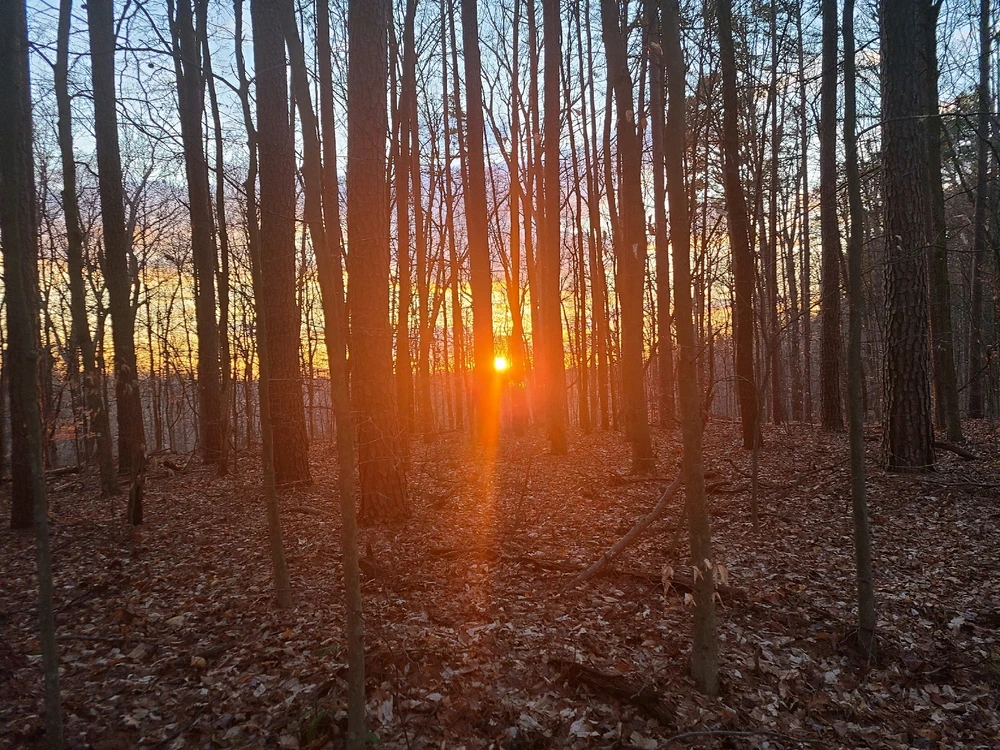 Image uploaded by Brian