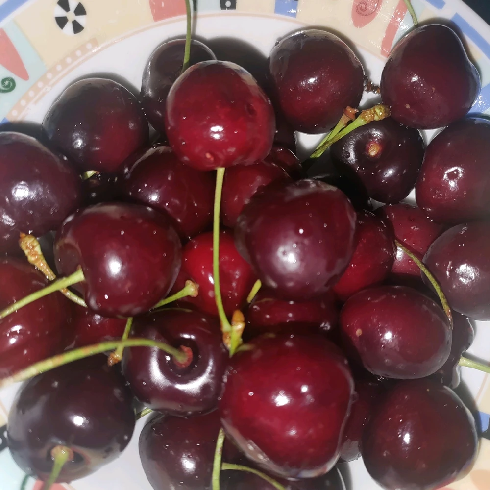 Image uploaded by Sofija