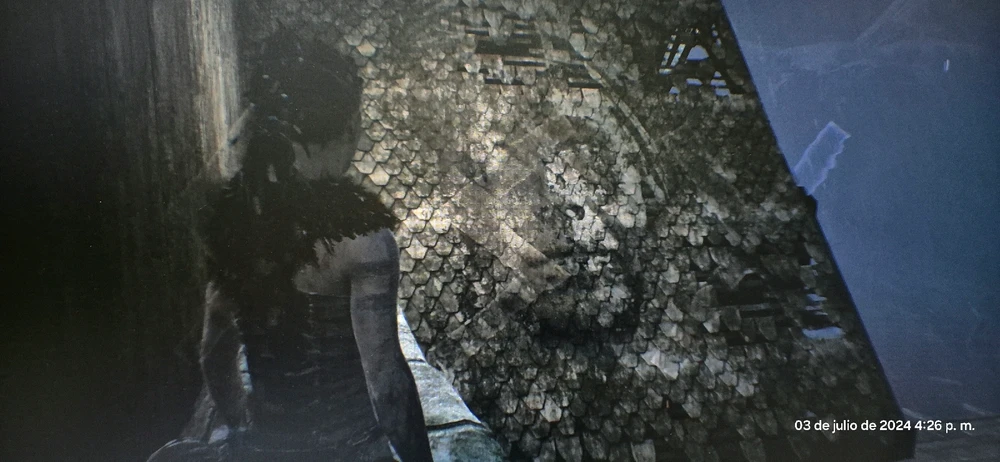 Imagen subida por Rodrigo