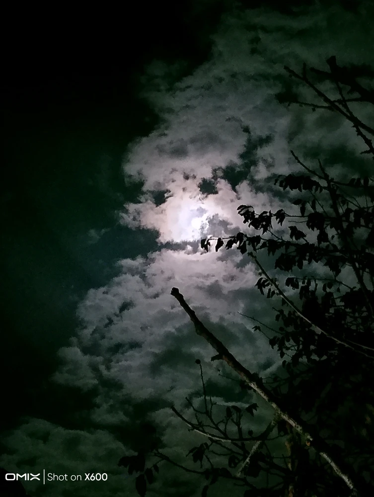 Alihan tarafından yüklenen görsel