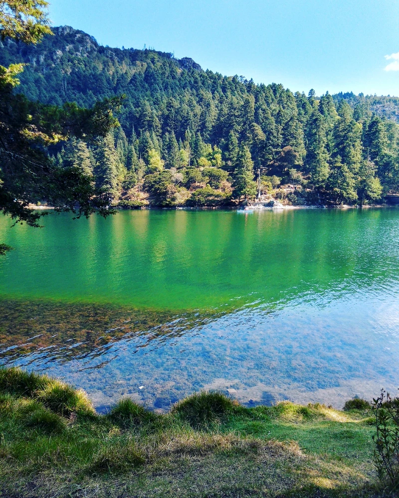 Image uploaded by Liz