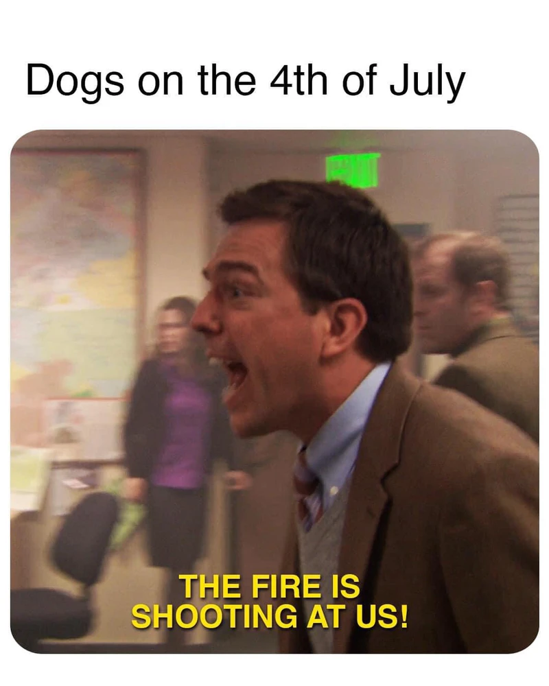 Image uploaded by Matt