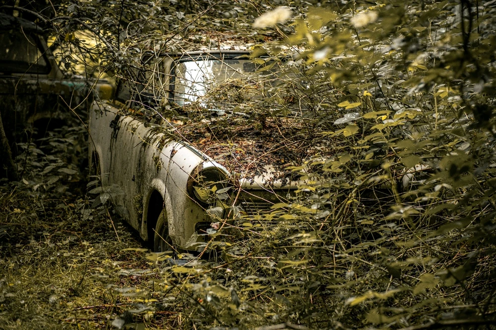 Image uploaded by Alex