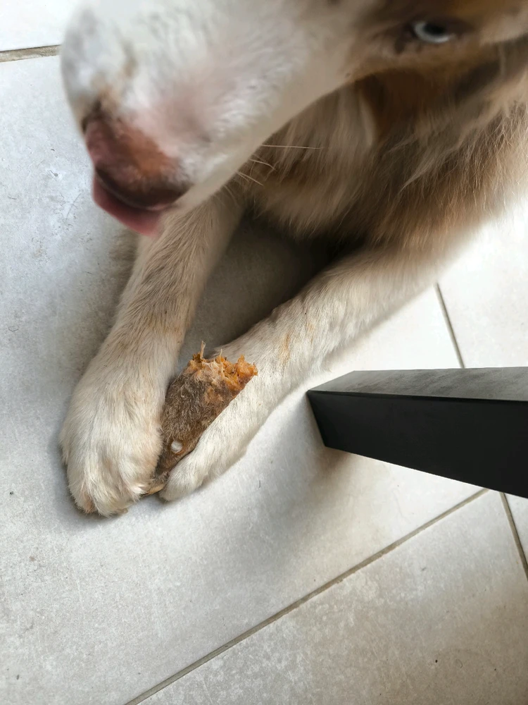 Image ajoutée par Cécile