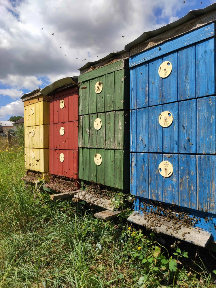 Obrázek nahrál Ema