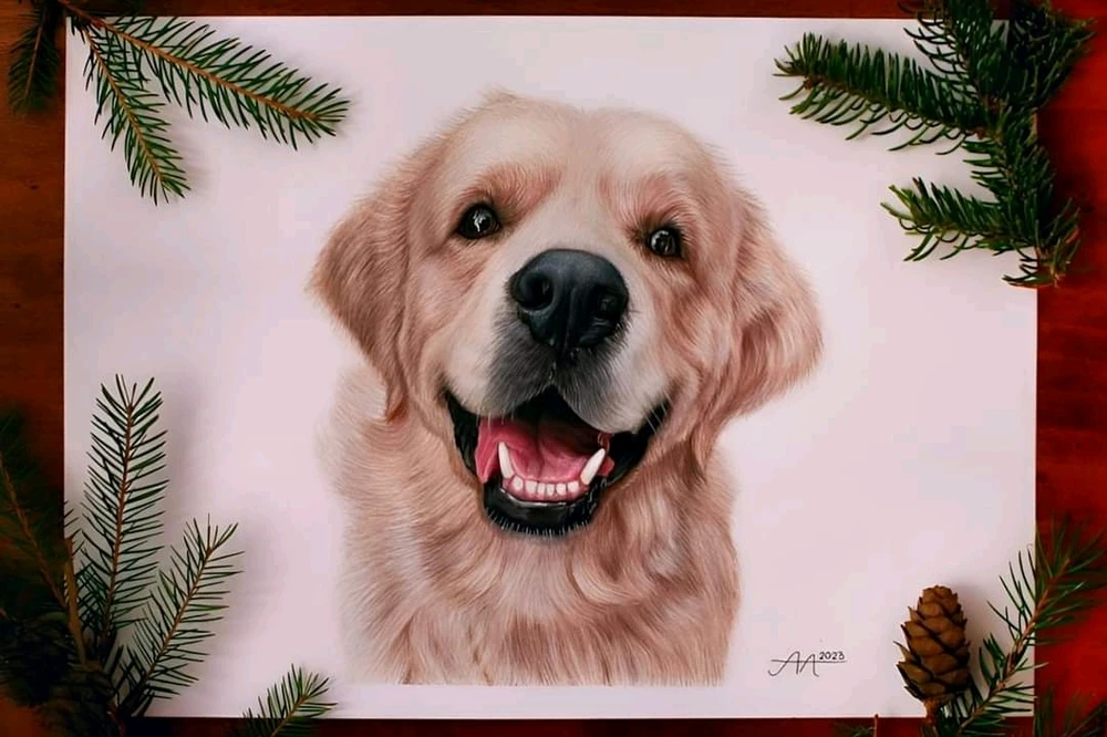 Obrázek nahrál Erika