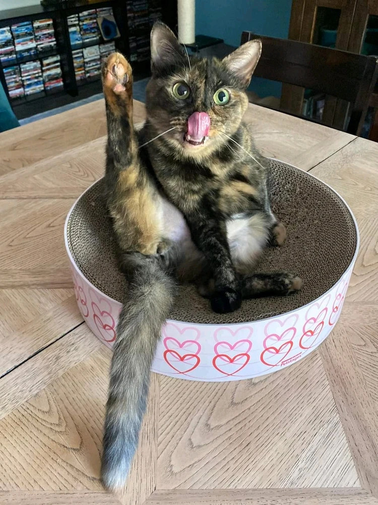 Bild hochgeladen von Marie