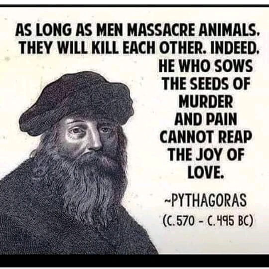 Image uploaded by David