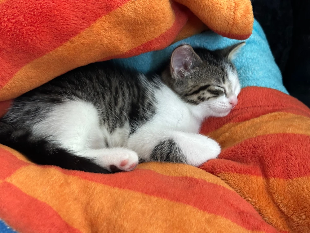 Image uploaded by Larah